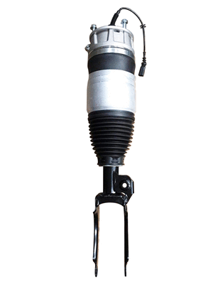 Air Suspension Strut (6160672)