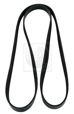 V-Ribbed Belt (D111O02)