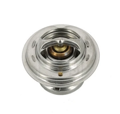 Thermostat, coolant (S153G01)