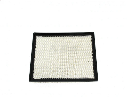 Air Filter (N132N68)