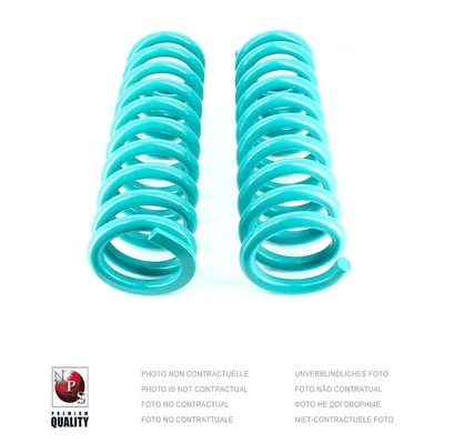 Suspension Spring (N491N49)
