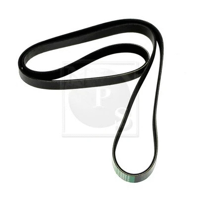 V-Ribbed Belt (S111I28)