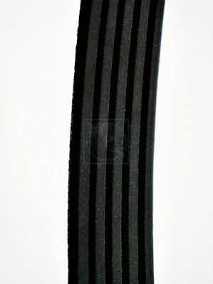 V-Ribbed Belt