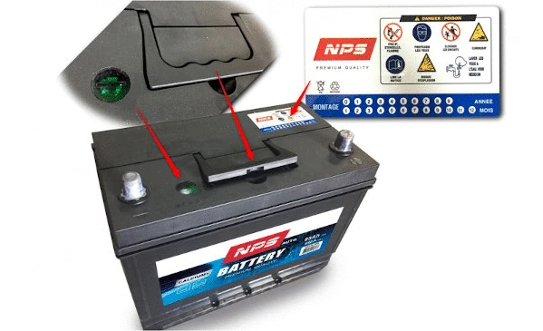 Starter Battery