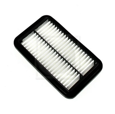 Air Filter (N132N70)