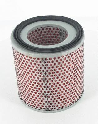 Air Filter (D132U11)