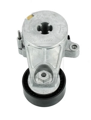 Tensioner Pulley, V-ribbed belt