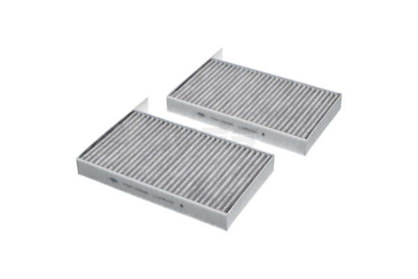 Filter, cabin air (T135L03)