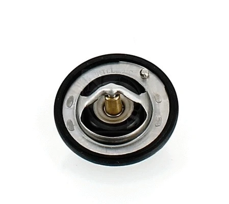 Thermostat, coolant (S153I05)
