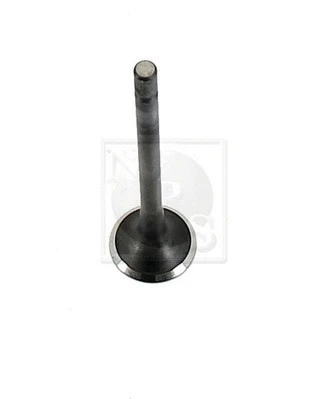 Exhaust Valve