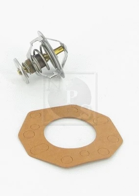 Thermostat, coolant (D153U09)
