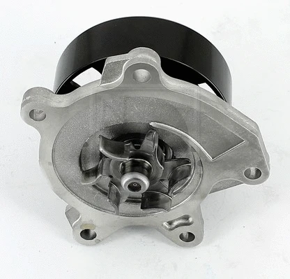 Water Pump, engine cooling (N151N92)
