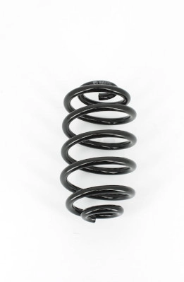 Suspension Spring (R491T02)