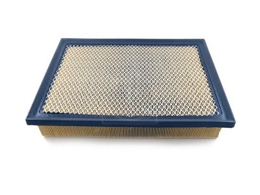 Air Filter (T132A133)