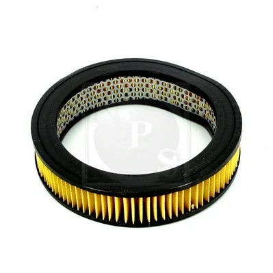 Air Filter (N132N02)