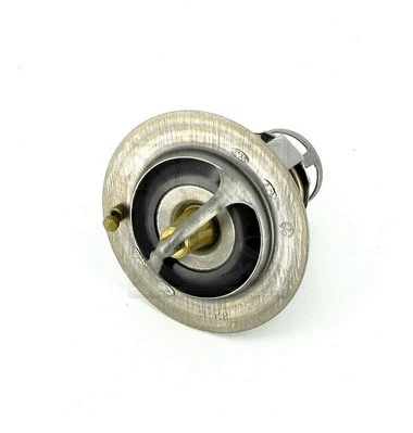 Thermostat, coolant (N153N06)