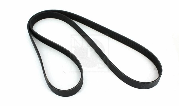 V-Ribbed Belt (N111N72)