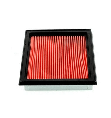 Air Filter (N132N30)