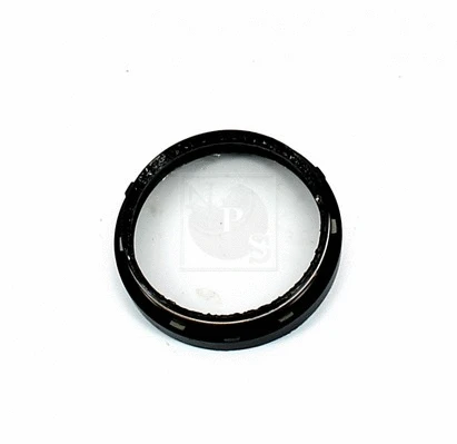 Repair Kit, kingpin (N472N02D)