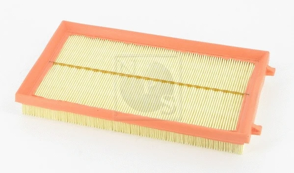 Air Filter (T132A80)