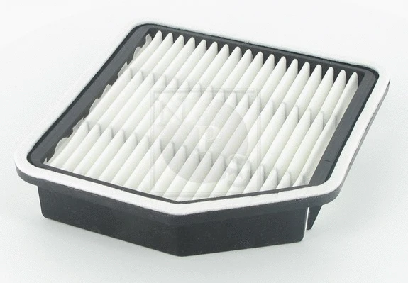 Air Filter (T132A107)