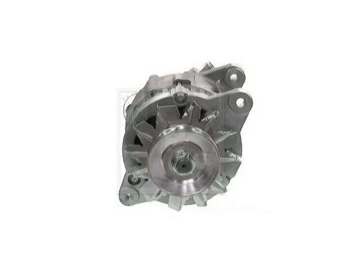 Alternator (O511L06)