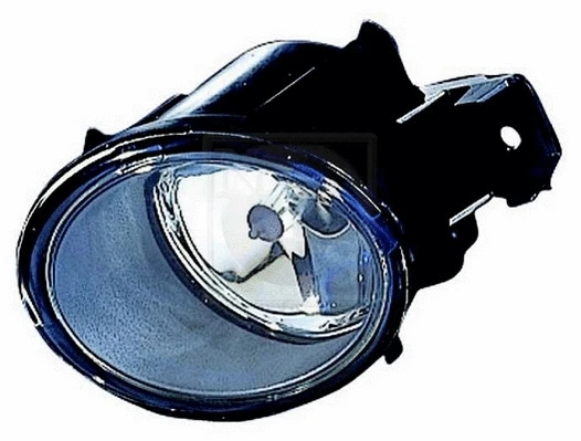 Front Fog Light (N696N30)