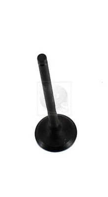 Exhaust Valve (T921A48)
