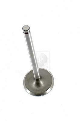 Intake Valve (M920I13)