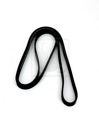 V-Ribbed Belt (H111I24)