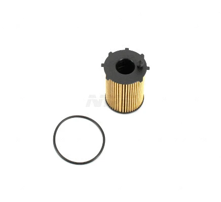 Oil Filter (F131T01)