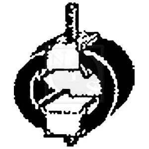 Mount, exhaust system (N432N02)