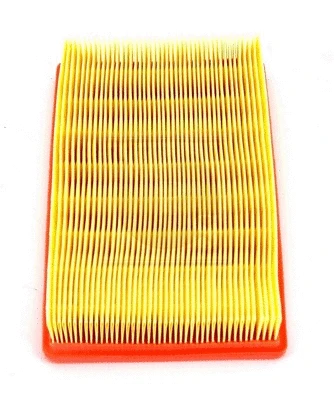 Air Filter (S132I34)