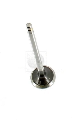 Exhaust Valve (N921N39)