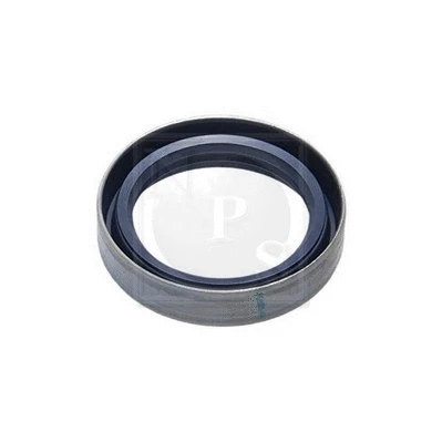 Repair Kit, kingpin (N472N01F)