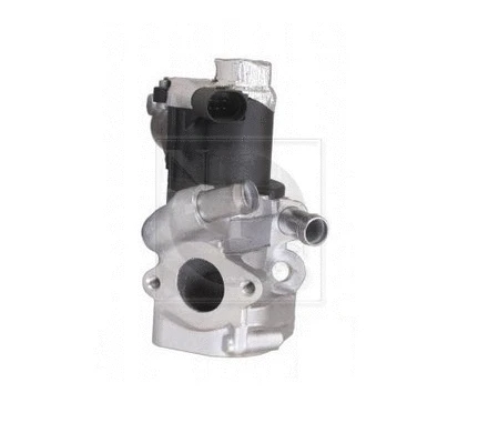 EGR Valve (N564N20)