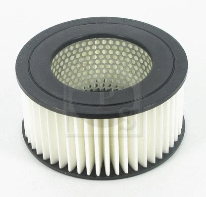 Air Filter (T132A23)