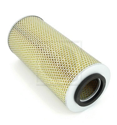 Air Filter (N132N49)
