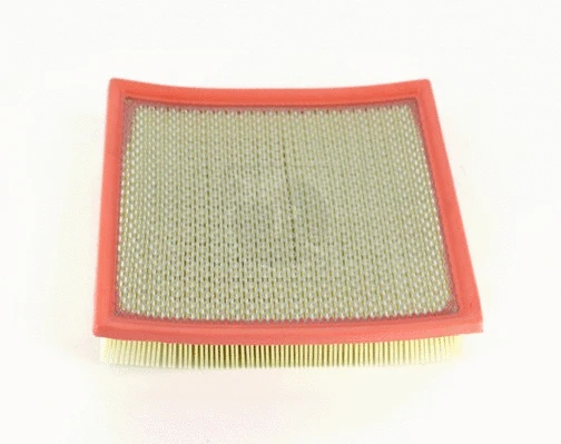 Air Filter (T132A131)