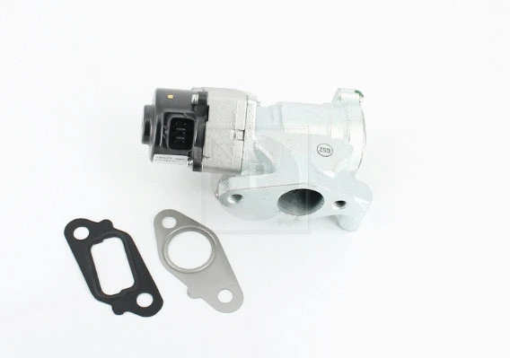EGR Valve (N564N19)