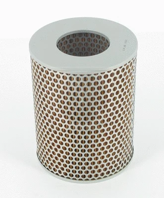 Air Filter (T132A21)