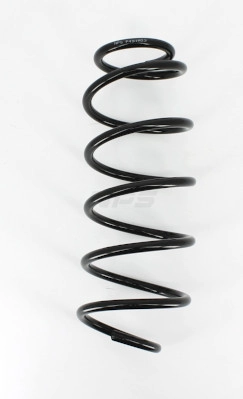 Suspension Spring (P491A03)