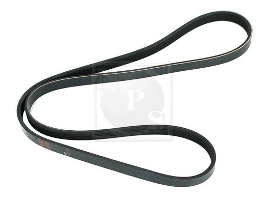 V-Ribbed Belt (N111N54)