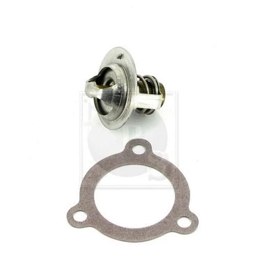 Thermostat, coolant (N153N01)