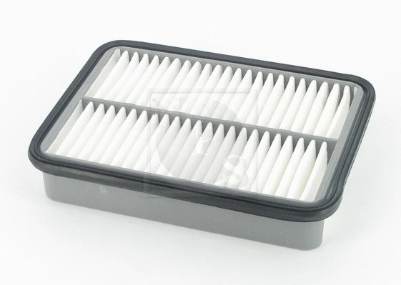 Air Filter (T132A55)