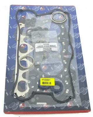 Gasket Kit, cylinder head (H124A01)
