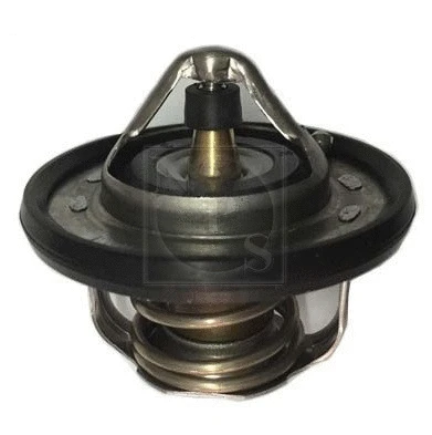 Thermostat, coolant (N153N36)