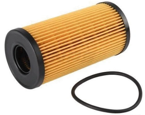 Oil Filter (N131N34)