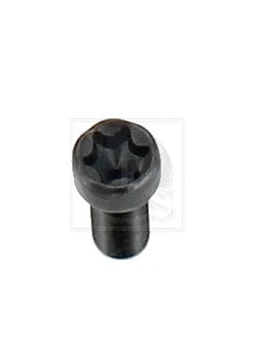 Flywheel Bolt