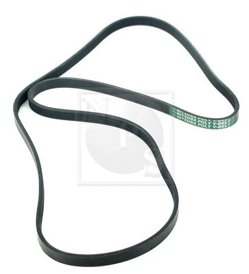 V-Ribbed Belt (D111U13)